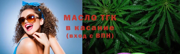 СК Алексин